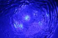 couleur bleue